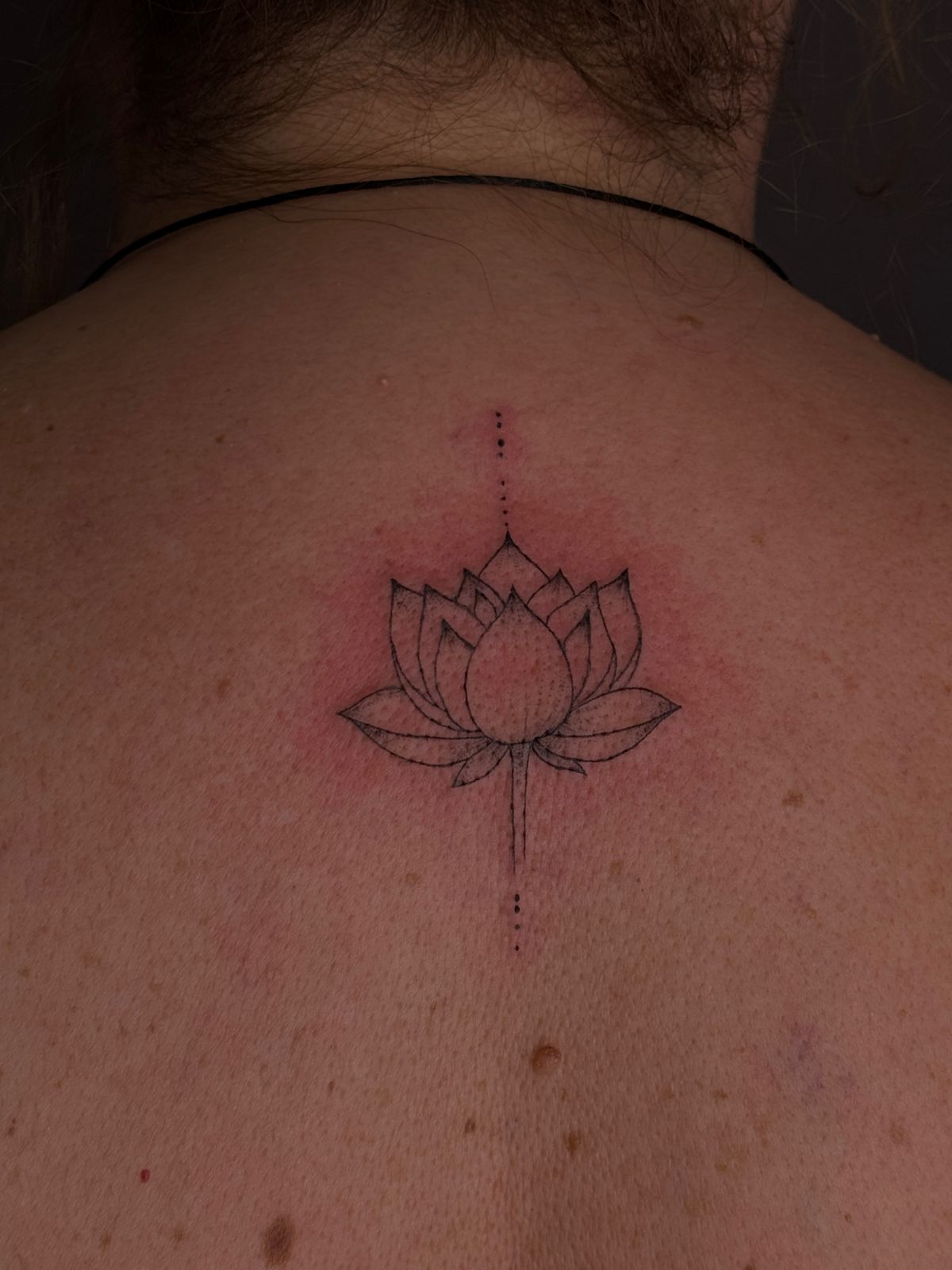 Fine Line Lotus
